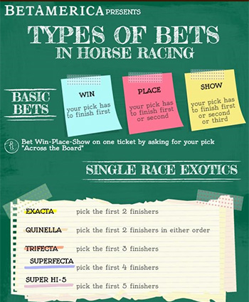 Odds Calculator & Converter Simple & Easy To Make Use Of