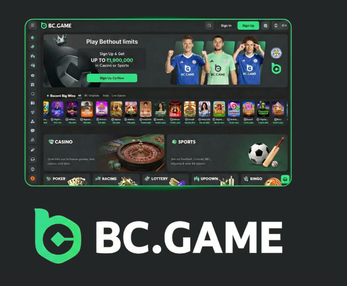 Exploring BC.Game Online Casino in Africa Opportunities and Trends